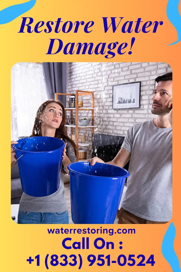 water restoration Pinnacle Water Repair Masters McLean