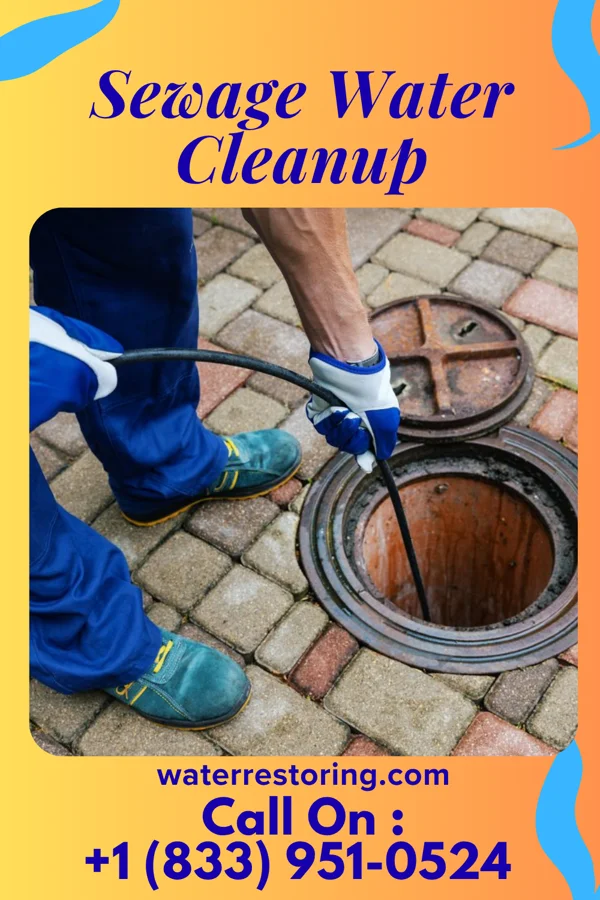 Sewage Water Cleanup in McLean, TX